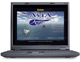 View AVIA MARINE Site